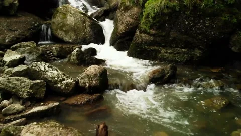 Water flowing over rocks in the forest	 Stock Footage 149320656