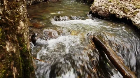 Water flowing over rocks in the forest, mountain river in the forest	 Stock Footage 149320675