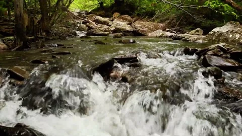 Water flowing over rocks in the forest, mountain river in the forest Stock Footage 149320752