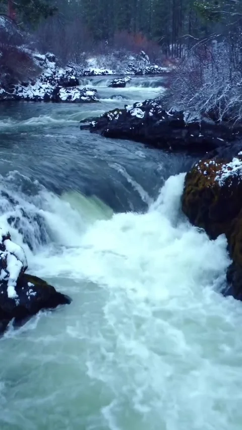 Water flowing over rocks in forest Stock Footage 274044367