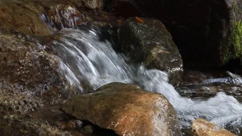 Water flowing over rocks in the forest Video stock 310156622