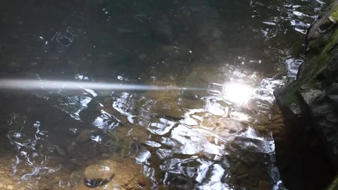 Water flowing over rocks in the forest Video stock 310156624