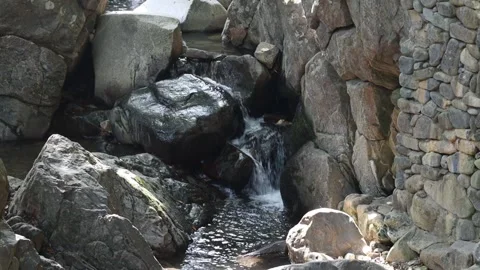 Water flowing over rocks in the forest Video stock 310156630