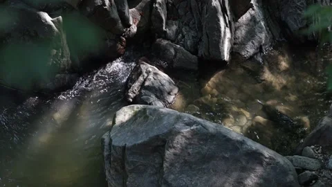Water flowing over rocks in the forest Video stock 310156641