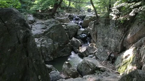 Water flowing over rocks in the forest Video stock 310156653