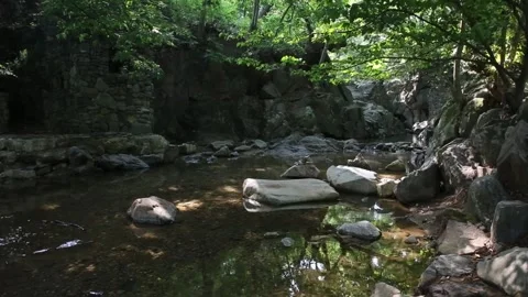 Water flowing over rocks in the forest Stock-Footage 310156660