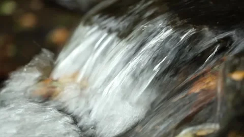 Water flowing over rocks in the forest Stock-Footage 310156673