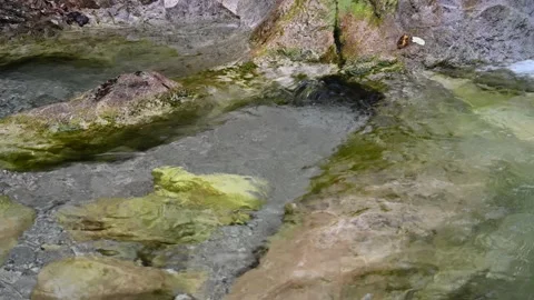 Water flowing over rocks inside of a pool formed by a mountain stream Video stock 211469116