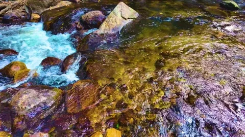 Water Flowing Over the Rocks - Leftwards Stock-Footage 264362241