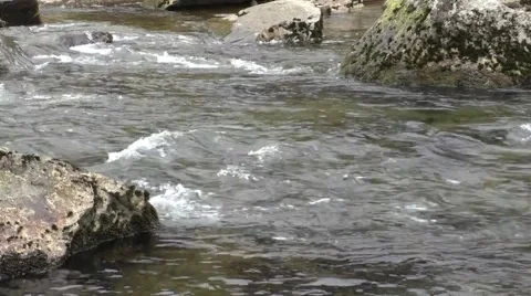 Water flowing over rocks - River Glaslyn, Beddgelert Stock Footage 49639954