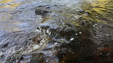 Water flowing over rocks, River Tees, Teesdale, England, UK Stock Footage 287477012