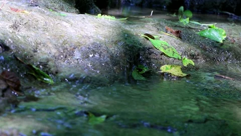 Water Flowing Over Rocks In Small Creek 4k Stock Footage 136640209