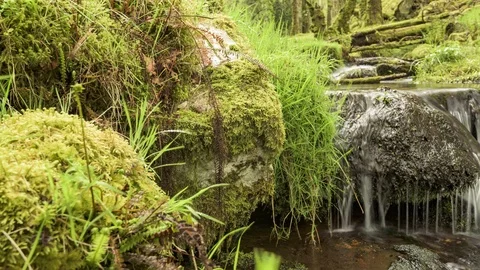 Water flowing over rocks in stream Stock Footage 108553105