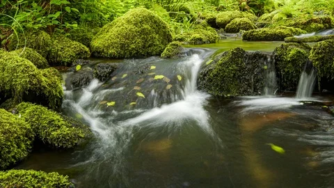 Water flowing over rocks in stream Stock Footage 111200628