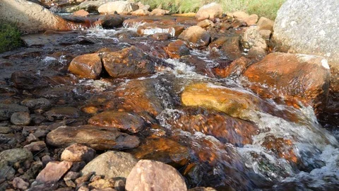 Water flowing over rocks in a stream Vídeo Stock 127446129