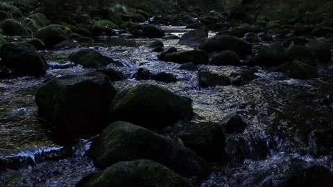 Water flowing over rocks in a stream in the Black Forest Video stock 167420197