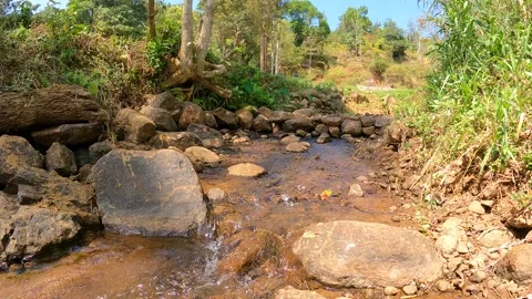 Water Flowing Over Small Falls With grass and Leaves Stock Footage 184088307