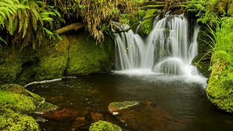 Water flowing over small waterfall Stock Footage 111200503