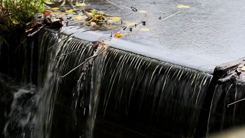 Water flowing over small waterfall or weir in natural environment, autumn leaves Stock Footage 329621146