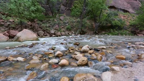 Water flowing over smooth rocks in the Virgin River in Zion National Park, Utah Stock Footage 346329086