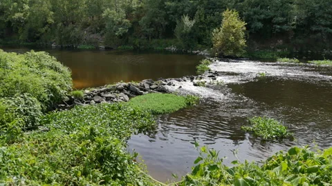 Water flowing over weir on River Ave in rural Portugal. Video stock 248458041