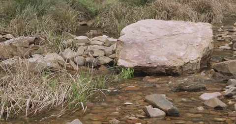Water flowing past a large boulder in a rocky stony creek with long grass 库存影片 99417778