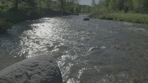 Water flowing past rocks down a stream Stock Footage 148566680