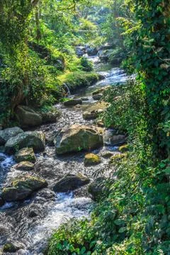 Water Flowing Stock Photos