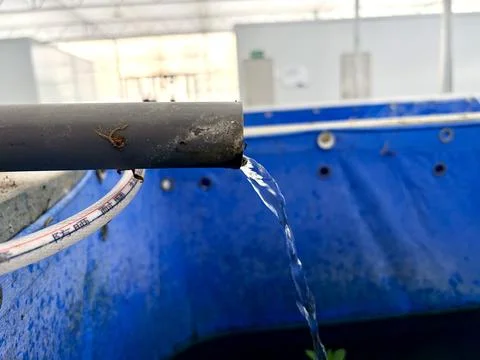 Water flowing from a pipe into a blue container. Fotos de archivo