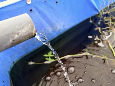 Water flowing from a pipe into a blue container. 스톡 사진