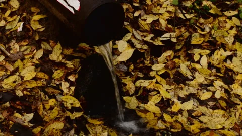 Water is flowing from a pipe on yellow autumn leaves. Video stock 252134468