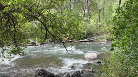 Water flowing in the Provo River in springtime Stock Footage 334328027