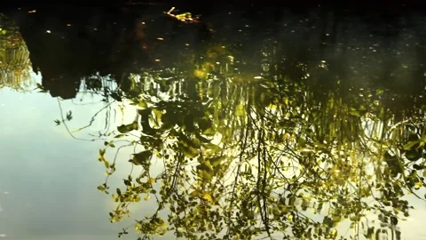 Water - flowing reflections Stock Footage 310678550