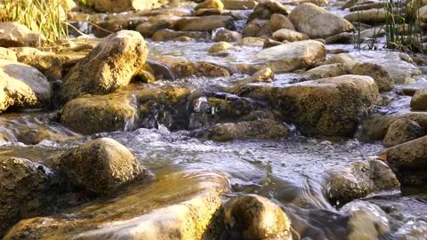 Water flowing in the river between stones. relaxation mental fluency Stock Footage 259332409