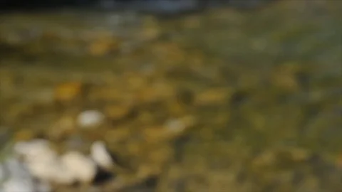 Water flowing in the river, defocus start, river, stream, creek Stock-Footage 84146292