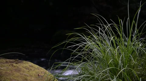 Water flowing on river. Vídeo Stock 48947080