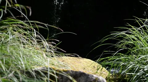 Water flowing on river. Vídeo Stock 48961675