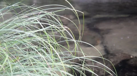 Water flowing on river. Stock Footage 48962603