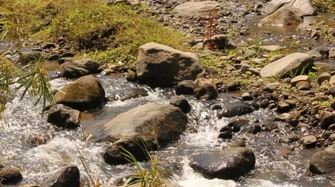 Water Flowing in A River Video stock 54639403