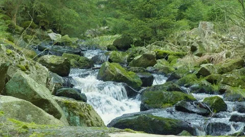 Water Flowing River 動画素材 63213427