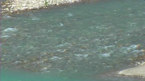 Water flowing from river Vidéo 104534713