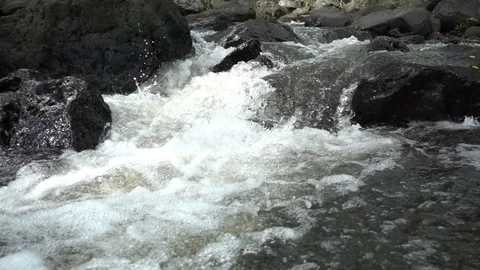 Water Flowing In A River Stock Footage 104825717