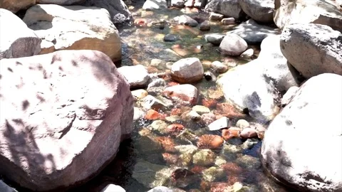 Water flowing in the river Stock Footage 116502955