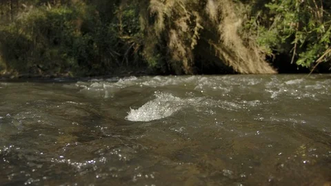 Water flowing in a river Stock Footage 124982745