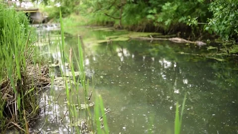 Water flowing into the river Stock Footage 130198292