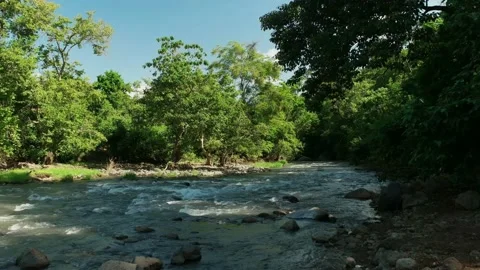 Water flowing in the river Stock Footage 162771777
