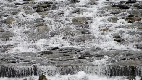 Water Flowing river. 库存影片 164445092