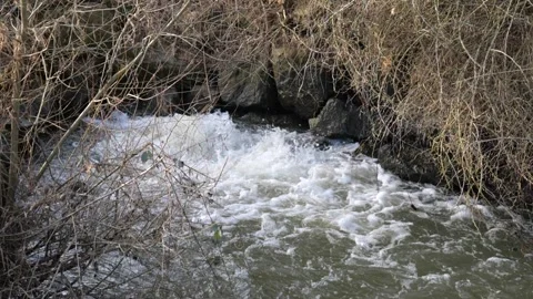 Water flowing into the river Video stock 241492598