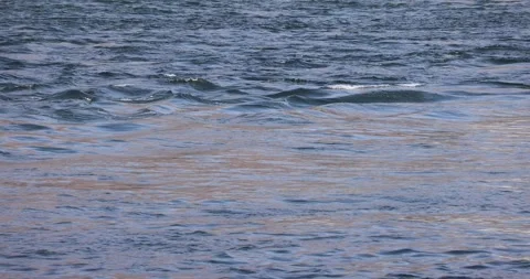 Water flowing on a river 스톡 동영상 249890369