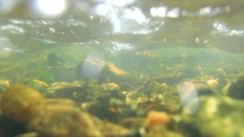 Water flowing in the river 库存影片 258835163